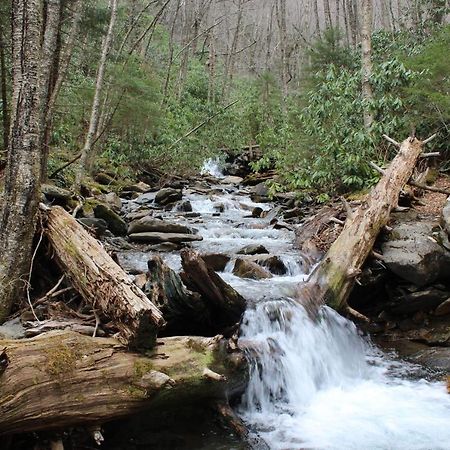 Gorgeous Large Mountain View Cabin W Hot Tub, Free Wifi, Games Villa Sevierville Exterior foto